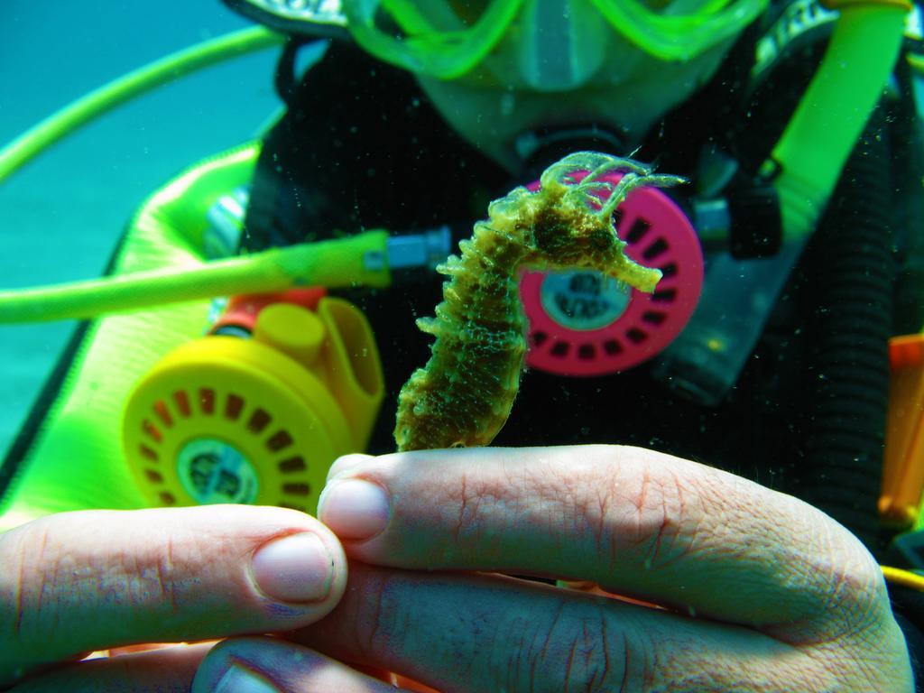דירות Diving Center Punta Stilo מראה חיצוני תמונה